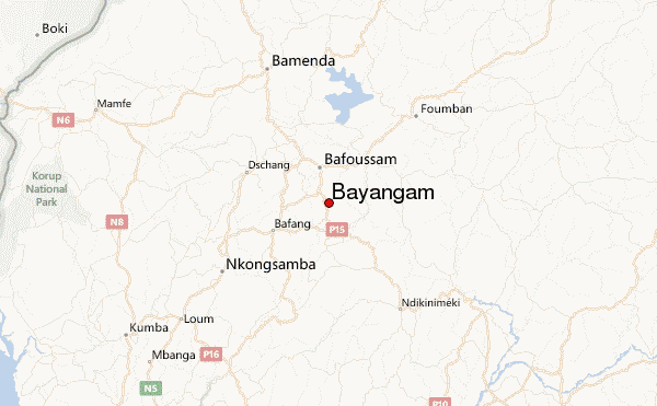 Carte Situation Bayangam